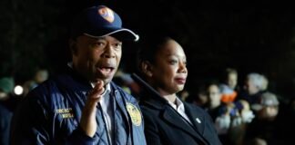 Nueva York busca un jefe antirratas «sanguinario» y con «instinto asesino»
