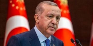 Erdogan, Presidente de Turquía, pide a Putin un alto al fuego unilateral en Ucrania