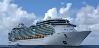Un crucero de Royal Caribbean rescata a 17 cubanos varados en el mar