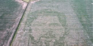 «Apareció» la cara de Messi en un campo