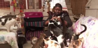 Conoce la casa de la «Mujer Gato» en Kenya