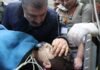 Rescatan en Turquía a un niño 260 horas después del terremoto