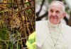 Conozcan a Martín Fierro, el leopardo de un zoo ruso ‘protegido’ por el papa Francisco Conozcan a Martín Fierro el leopardo de un zoo ruso protegido por el papa Francisco - thefreedompost.net