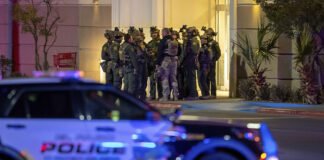 Un muerto y tres heridos en tiroteo en centro comercial de Texas