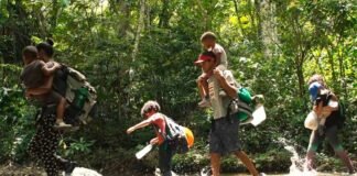 Alertan del cruce solitario de menores por el Tapón del Darién