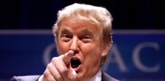 Sale a la luz carta exculpatoria para Donald Trump: Michael Cohen mintió sobre los pagos a Stormy Daniels