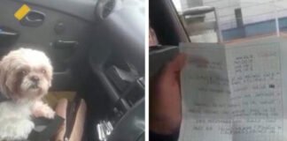 Abandonan a perro en un taxi con instrucciones para cuidarlo