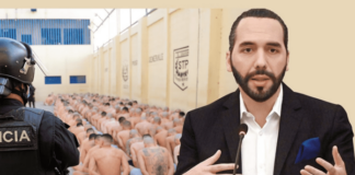 #Opinión | Bukele contra el crimen – Grant Torres Franco