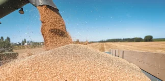 Rusia prorroga exportación de cereales sólo por 60 días