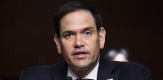 Es falsa la postulación de Marco Rubio como candidato Republicano a la Casa Blanca