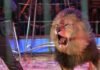 VIDEO | Dos leones escapan en pleno espectáculo de un circo Dos leones escapan en pleno espectáculo de un circo