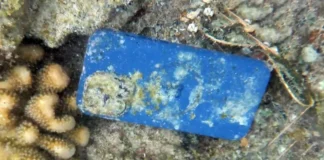 Su celular permaneció 33 días debajo del mar y se llevó una sorpresa