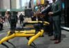 Nueva York presenta los nuevos robots que ayudarán en el patrullaje policial ( + Vídeo)