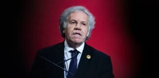 Investigación contra Almagro concluye que violó obligaciones éticas