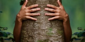 Científicos afirman que las plantas «hablan»