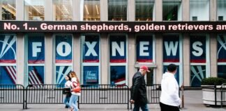 Fox alcanza acuerdo para evitar juicio por demanda de difamación