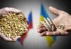 Ucrania, Rusia, Turquía y la ONU negocian renovar acuerdo de cereales