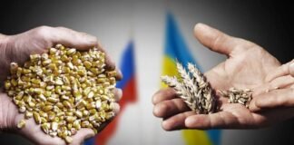 Ucrania, Rusia, Turquía y la ONU negocian renovar acuerdo de cereales