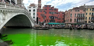 El Gran Canal de Venecia dejó en incertidumbre a sus habitantes por esta razón