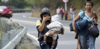 Cepaz advierte los riesgos que viven las mujeres migrantes Cepaz advierte los riesgos que viven las mujeres migrantes-thefreedompost.net