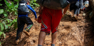 Unicef advierte hay una «cifra récord» de menores de edad cruzando la selva del Darién