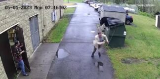 ¡Un oso sorprende al director de una escuela estadounidense!