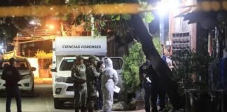Asesinan a balazos a periodista de Telemundo en México