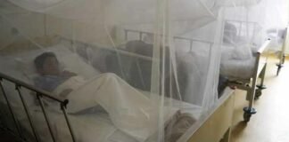 OMS formará a 6 mil personas para asistir a Perú en la epidemia de dengue
