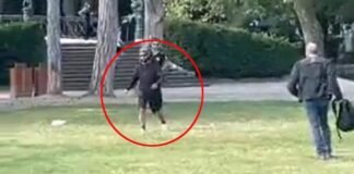 Apuñalan a varios niños en parque de Francia