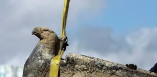 De águila nazi a paloma de la paz
