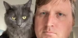 Hombre afirma «hablar» el idioma de los gatos