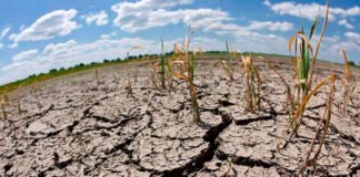 Honduras declara alerta amarilla en 85 municipios por fenómeno de El Niño