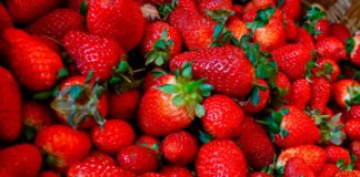México colabora con EEUU en investigación sobre brote de hepatitis tipo A en frutillas