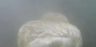 Hallan cabeza de estatua que podría ser de barcos de Calígula