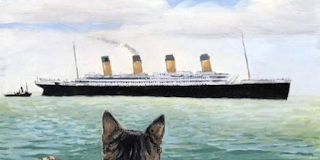 El misterio de la gata que predijo el hundimiento del Titanic