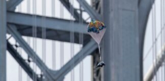 «Lluvia» de elefantes de juguete se vivió en Nueva York