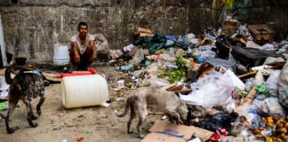 #Opinión | Adaptados a la miseria – Por Joelvin Villarreal V