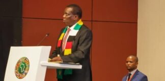 Zimbabue celebrará elecciones generales el próximo 23 de agosto