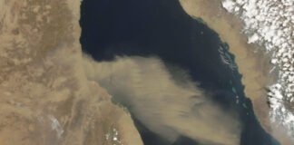 México espera la llegada de una nueva nube de polvo del Sahara este #15Jul