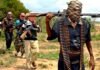 Al menos 30 muertos en un ataque de hombres armados en Nigeria