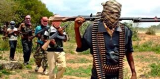 Al menos 30 muertos en un ataque de hombres armados en Nigeria