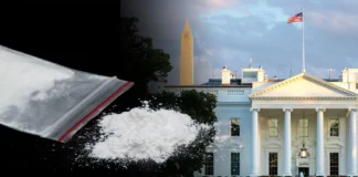 Servicio Secreto cierra investigación alegando no poder identificar a la persona que ingresó cocaína a la Casa Blanca
