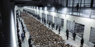 Parlamento salvadoreño aprueba juicios colectivos a pandilleros