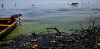 Fiscalizarán a industrias por contaminación del Lago de Maracaibo
