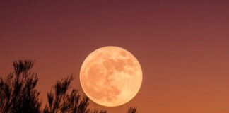 Una superluna iluminará el cielo el 1 de agosto