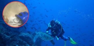 Buzo halló en el océano un iPhone aún en funcionamiento