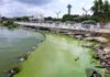 Denuncian «olores pestilentes» en el Lago de Maracaibo