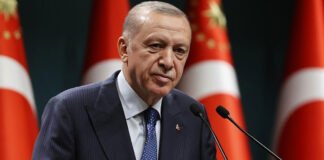 Erdogan espera que Putin acceda a extender el acuerdo del grano