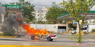 Violencia en México: Asesinan a cinco conductores de transporte público en un día en Chilpancingo