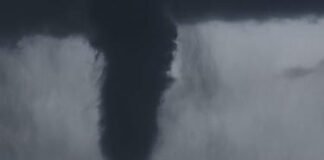 Tornado provoca caídas de árboles y del tendido eléctrico en Puerto Rico